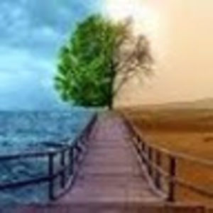 Meet your Posher, Sushi